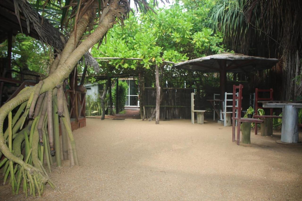 Happy Cocos Beach House 와스카두와 외부 사진