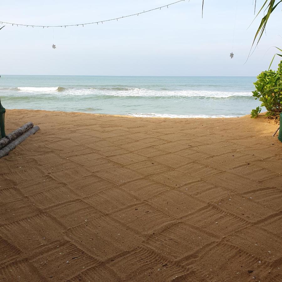 Happy Cocos Beach House 와스카두와 외부 사진
