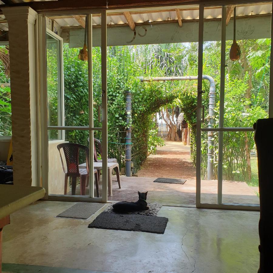 Happy Cocos Beach House 와스카두와 외부 사진
