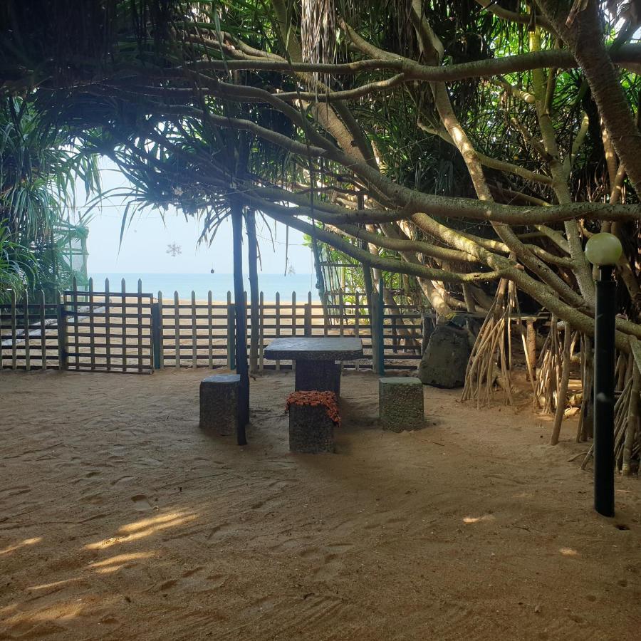 Happy Cocos Beach House 와스카두와 외부 사진